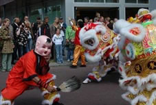leeuwendans Park festival